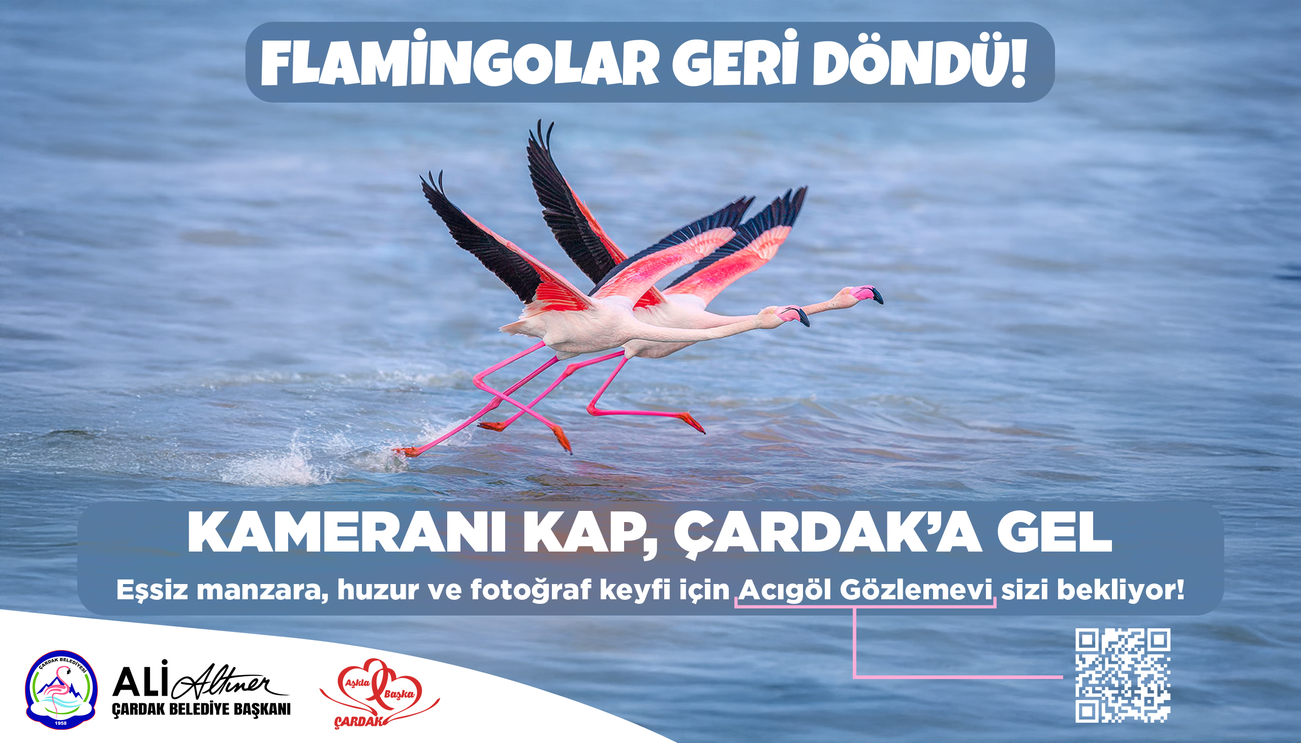 Çardak flamingo 